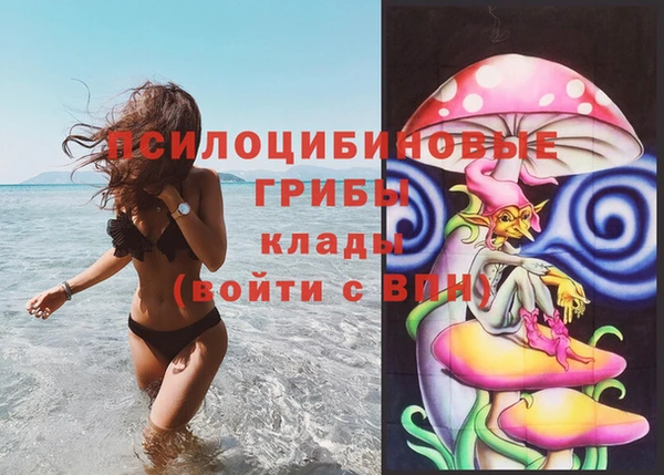 герыч Арсеньев