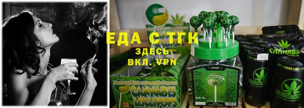 индика Алексин