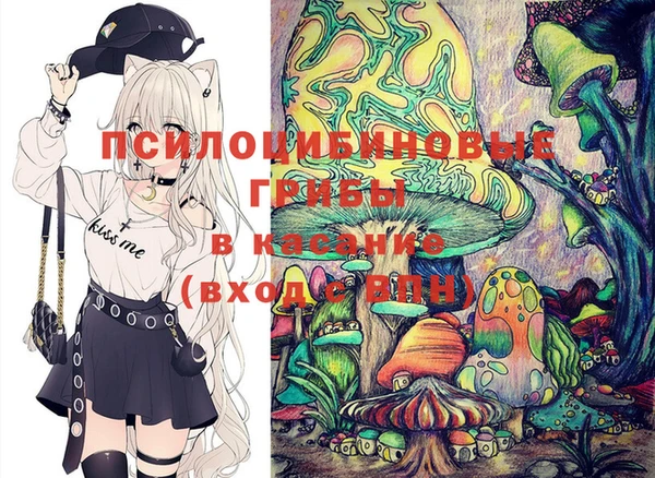герыч Арсеньев