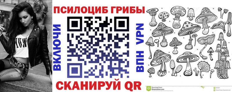 Псилоцибиновые грибы Cubensis Жигулёвск